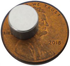 8mm x 6mm Disc - Neodymium Magnet